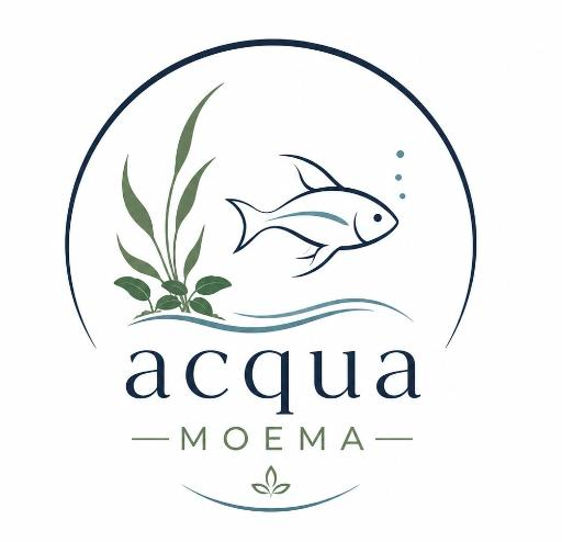 Acqua Moema